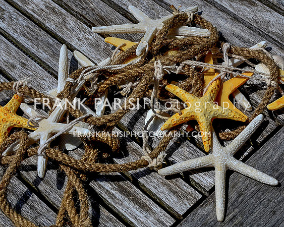 Sea Stars and Rope.