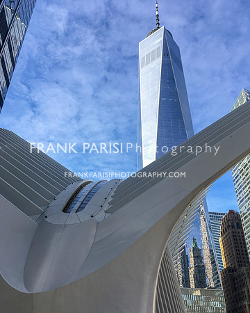 The Oculus and Freedom Tower.