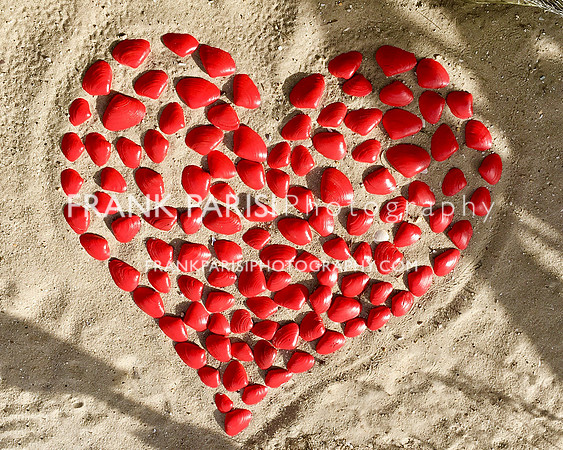 Love on the beach.