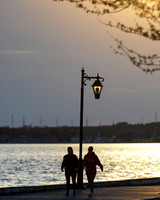 Island Heights